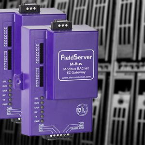 Fieldserver